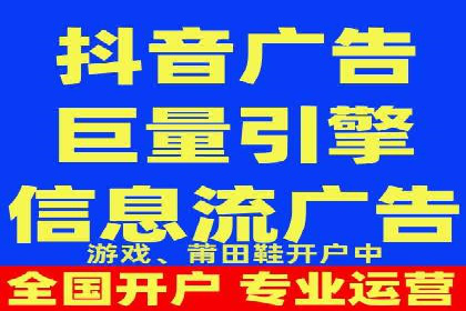 案例对比：不同竞价广告平台的优劣